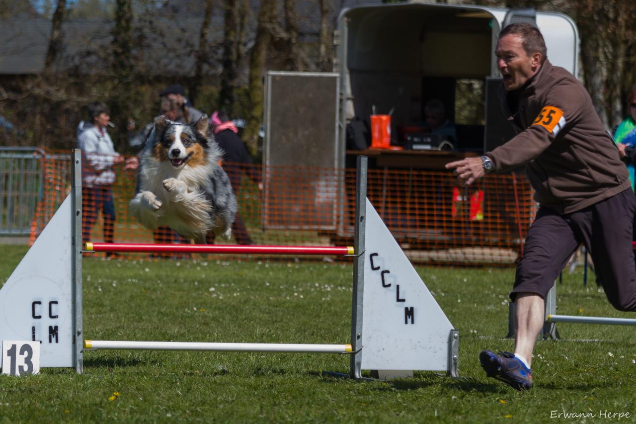 4299_20160417_E_Herpe_019_2000x1333