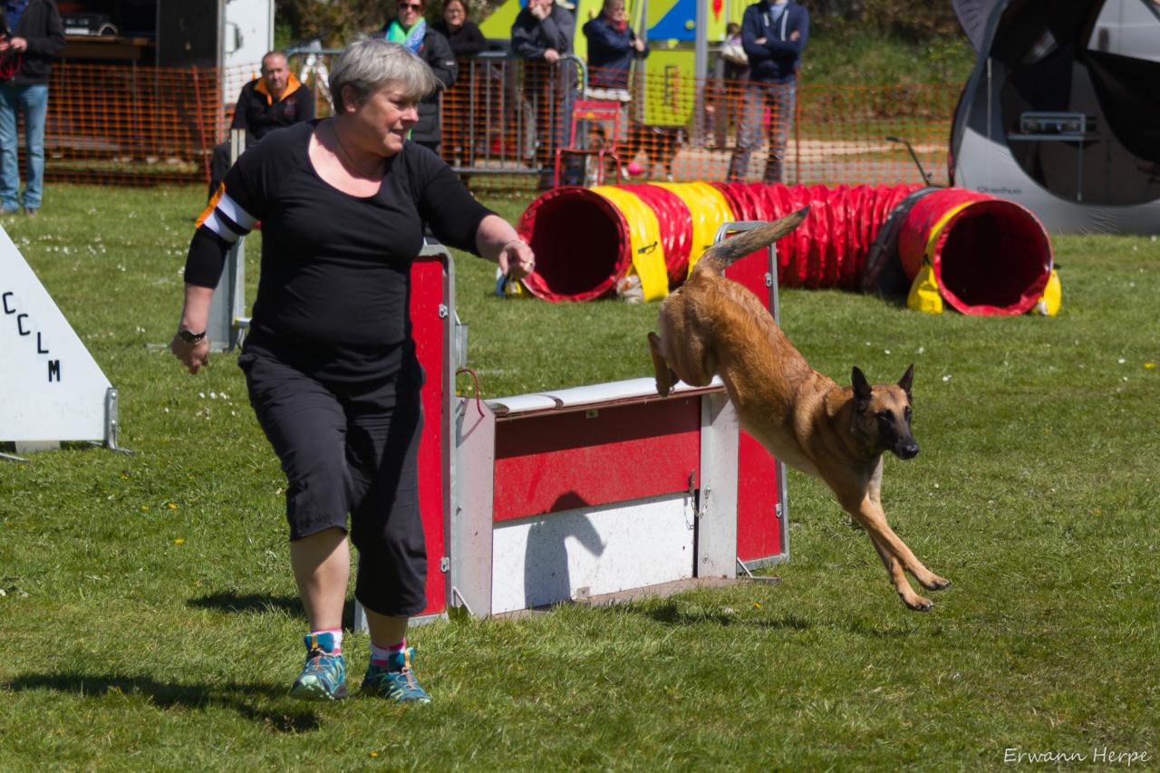 4301_20160417_E_Herpe_021_2000x1333