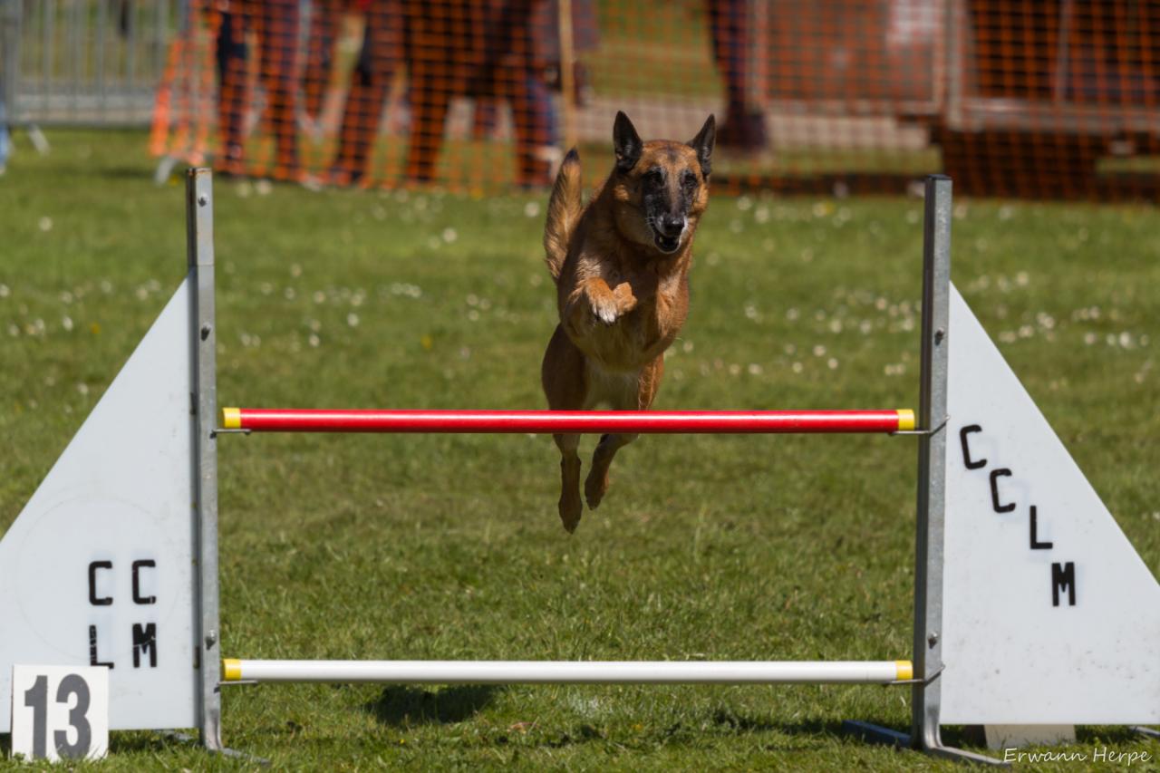 4303_20160417_E_Herpe_023_2000x1333