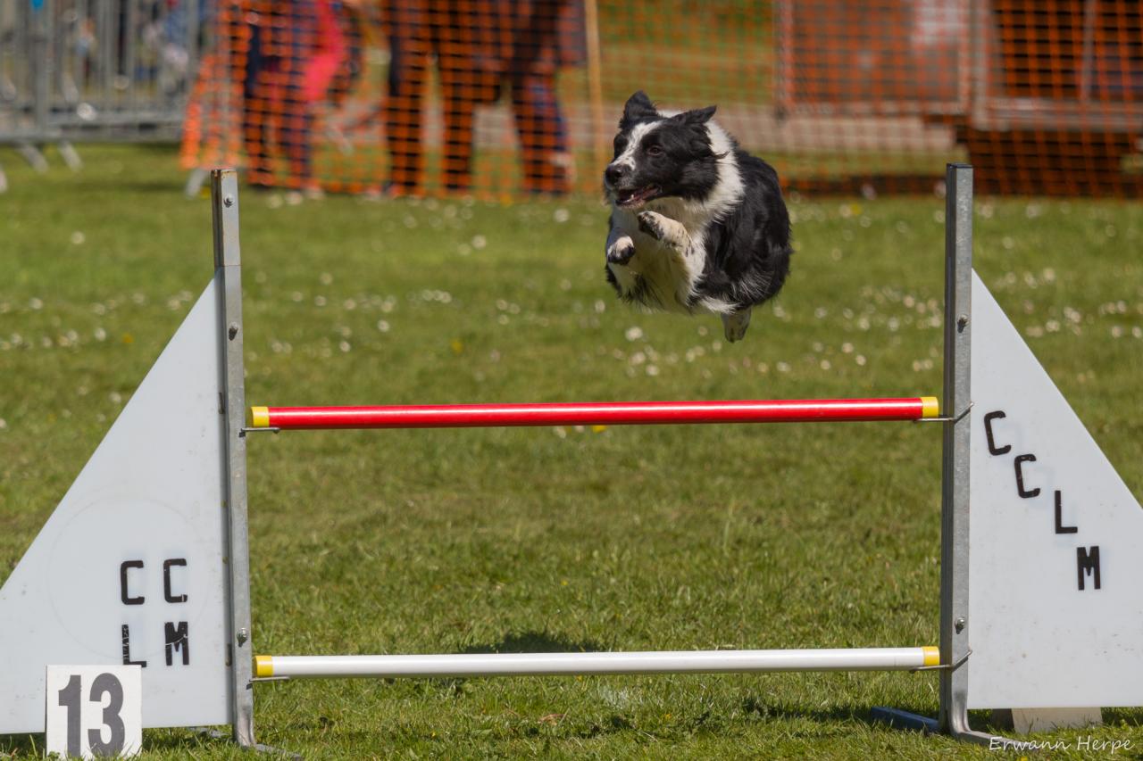 4304_20160417_E_Herpe_024_2000x1333