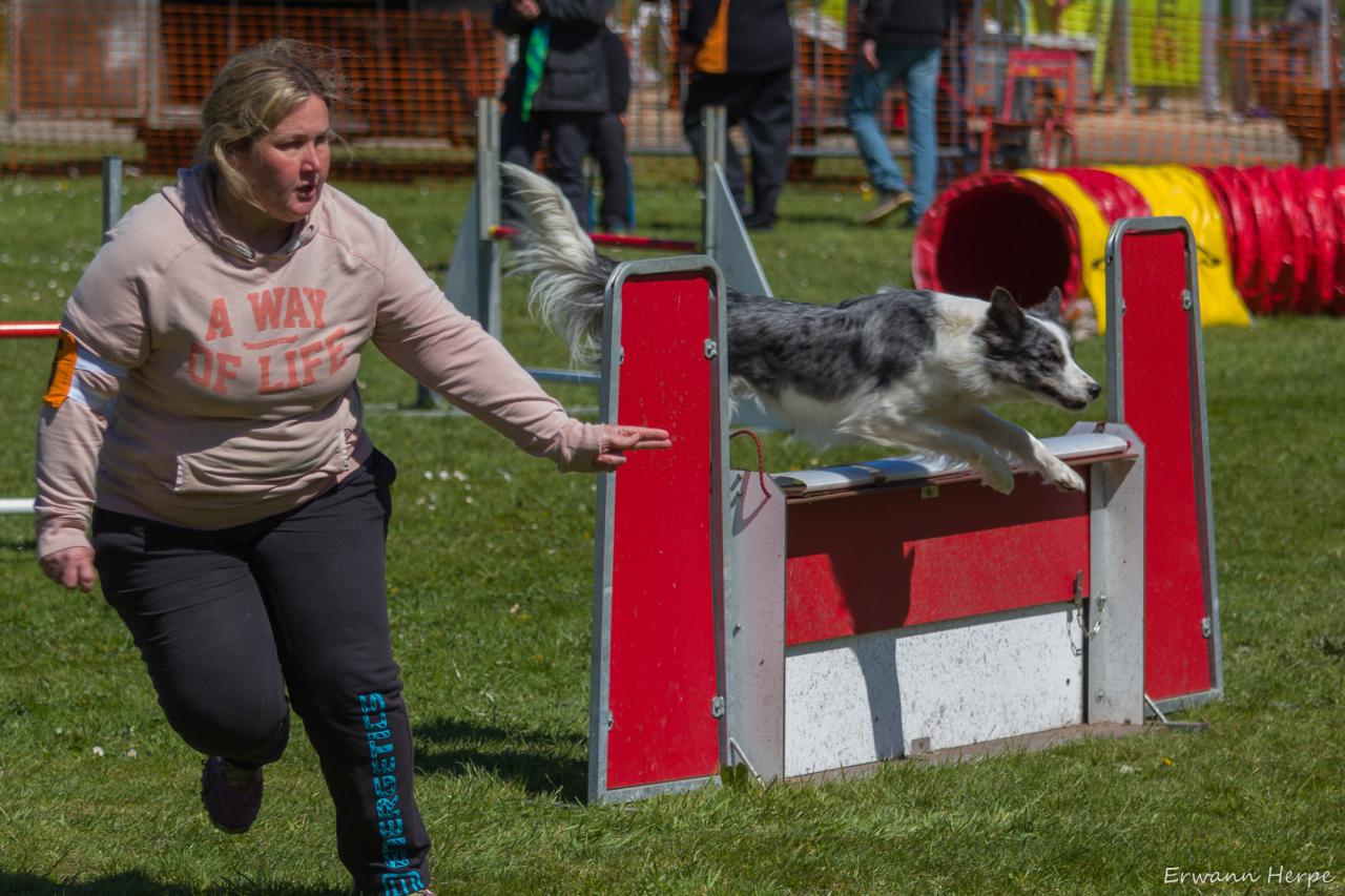 4305_20160417_E_Herpe_025_2000x1333