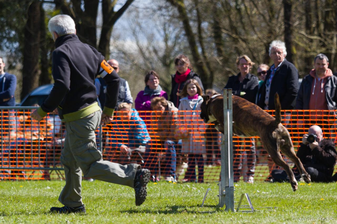 4310_20160417_E_Herpe_030_2000x1333