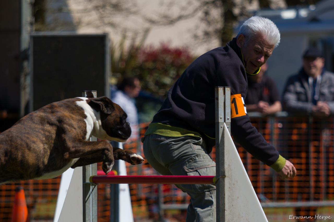 4311_20160417_E_Herpe_031_2000x1333