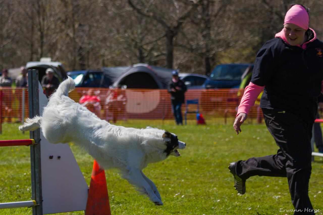 4312_20160417_E_Herpe_032_2000x1333