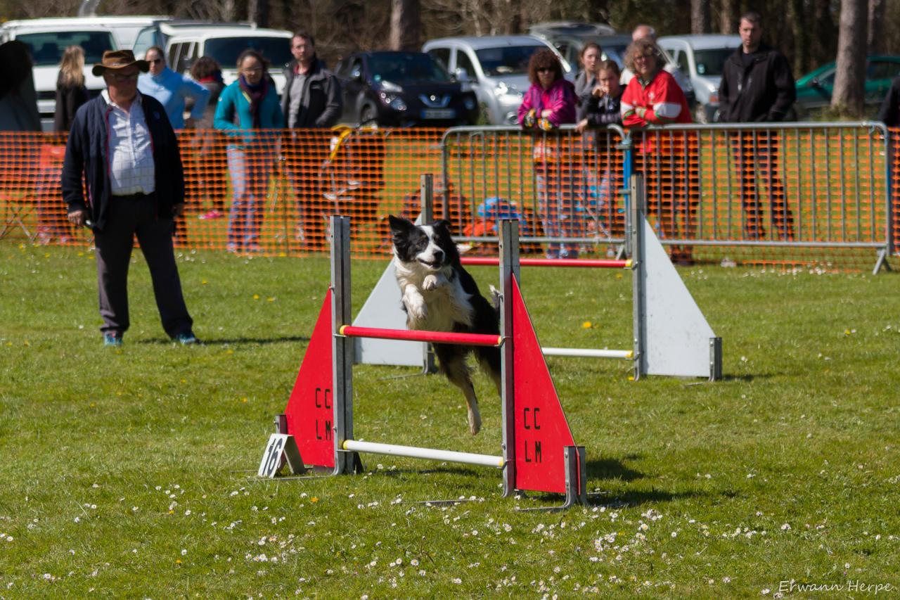 4315_20160417_E_Herpe_035_2000x1333