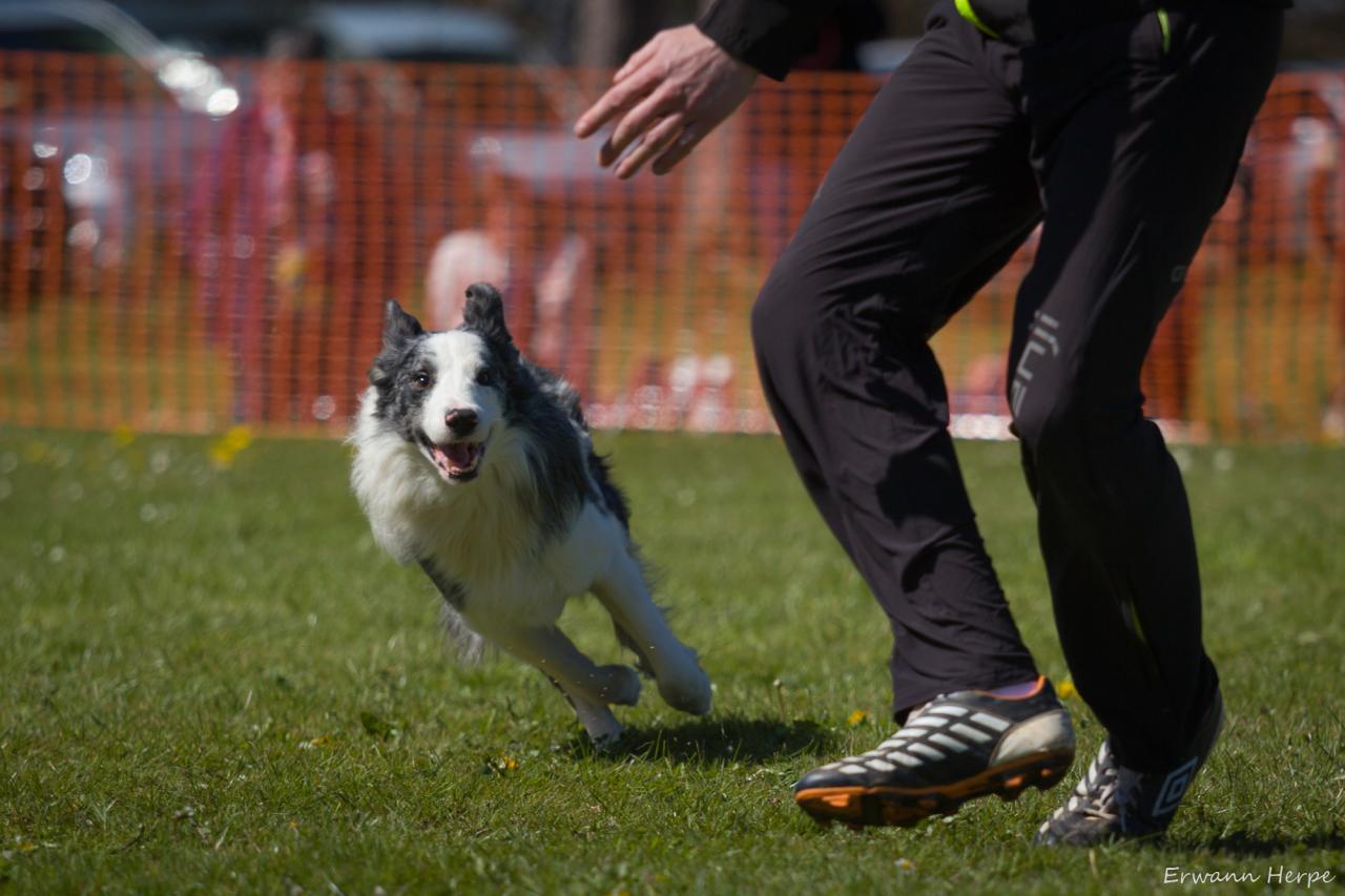 4322_20160417_E_Herpe_042_2000x1333