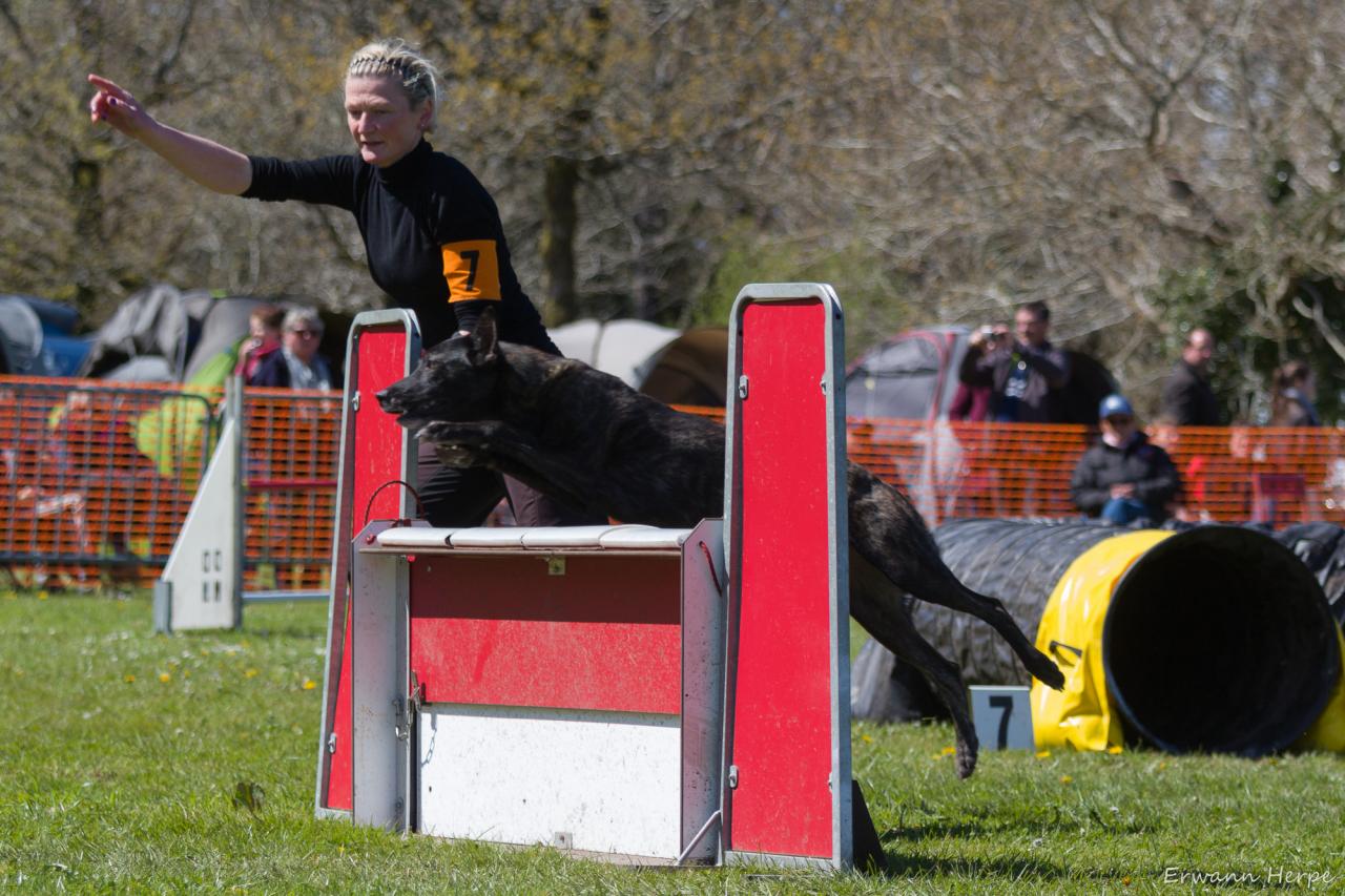 4324_20160417_E_Herpe_044_2000x1333