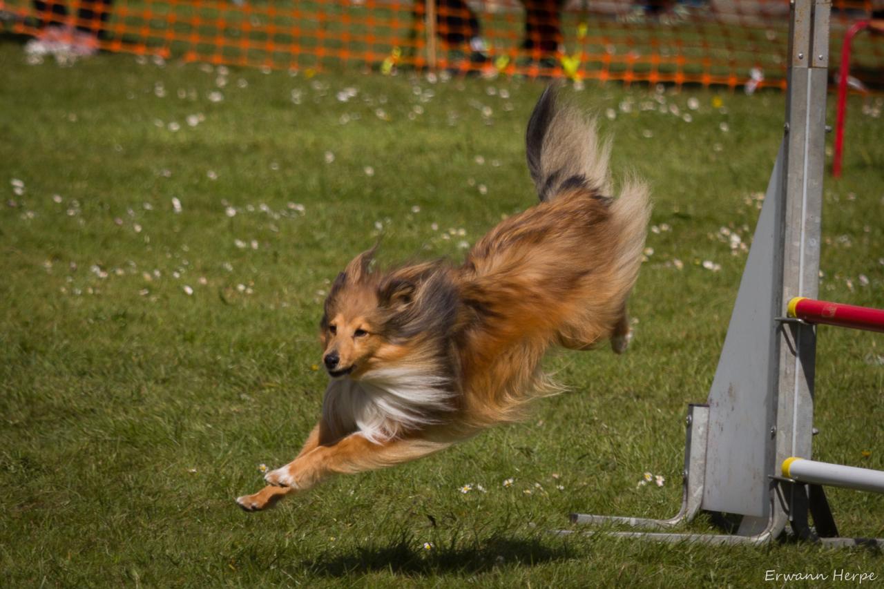 4337_20160417_E_Herpe_057_2000x1333