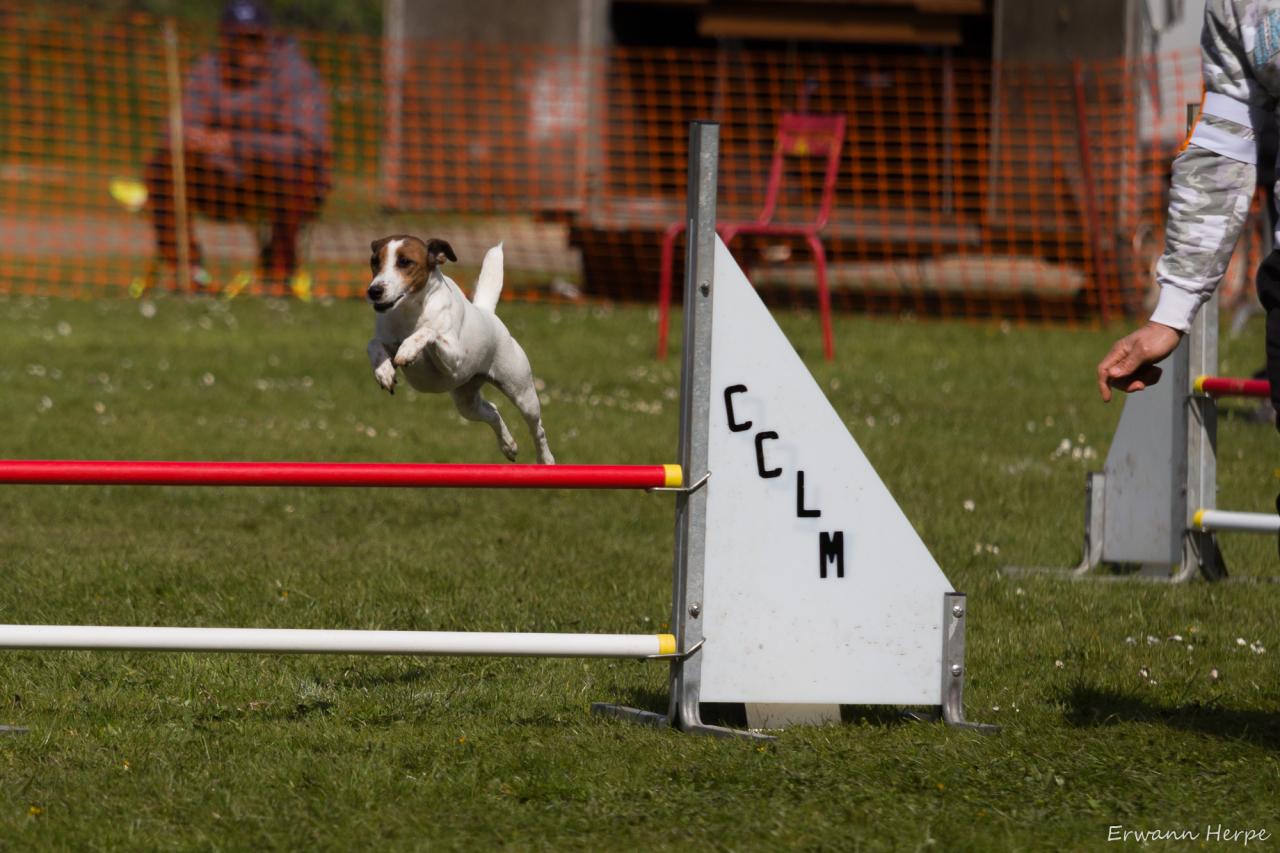 4338_20160417_E_Herpe_058_2000x1333