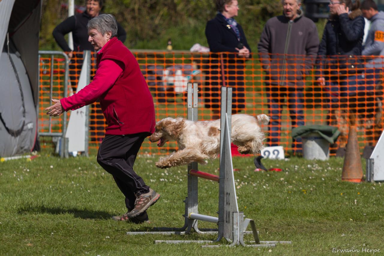 4340_20160417_E_Herpe_060_2000x1333