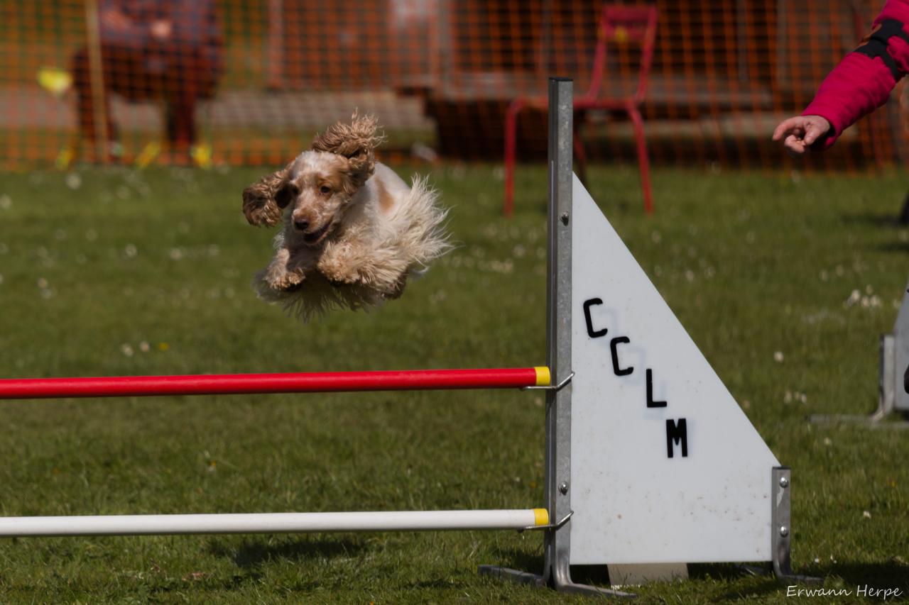 4341_20160417_E_Herpe_061_2000x1333