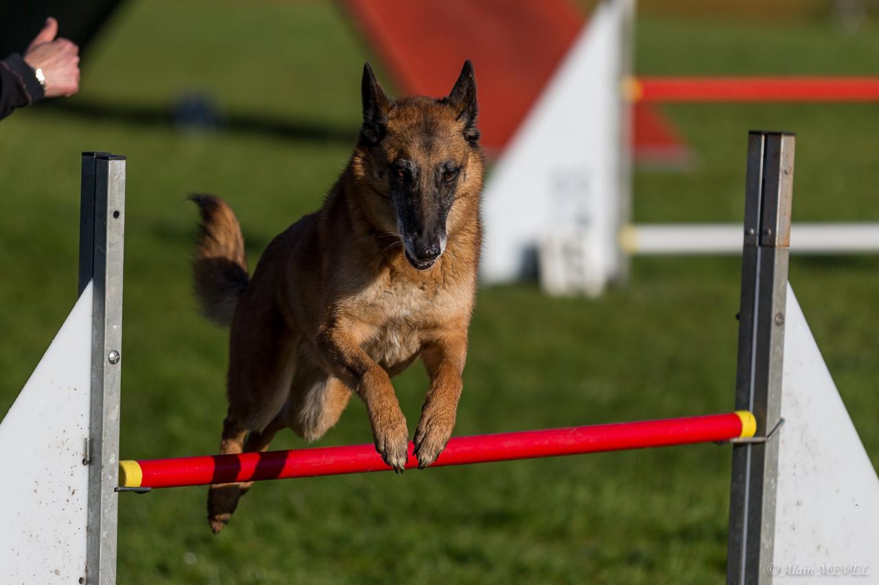 4347_20160417_Alain_MEVEL_006_2000x1333