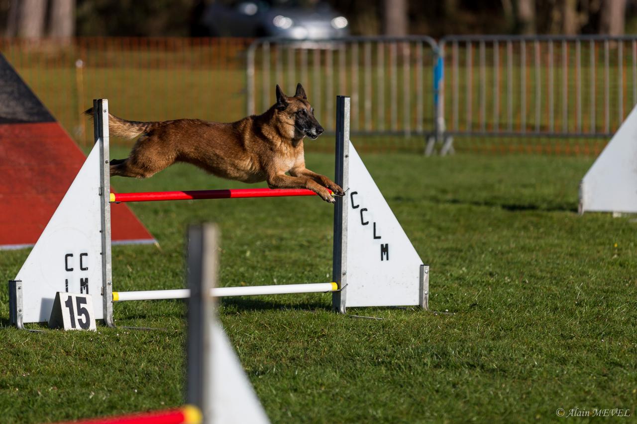 4349_20160417_Alain_MEVEL_008_2000x1333