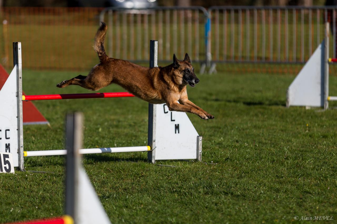 4350_20160417_Alain_MEVEL_009_2000x1333