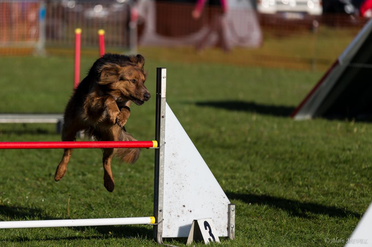 4355_20160417_Alain_MEVEL_014_2000x1333