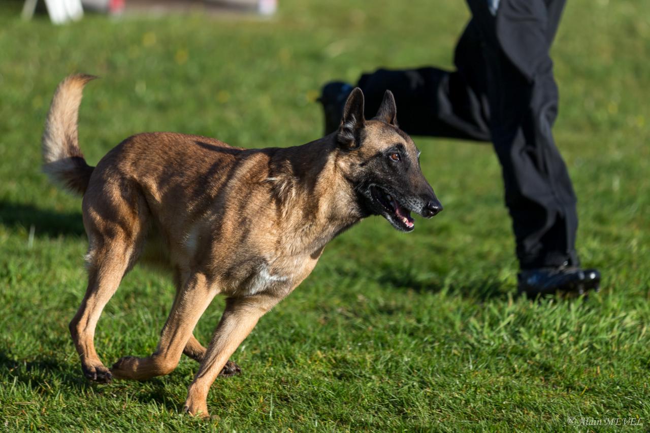 4357_20160417_Alain_MEVEL_016_2000x1333