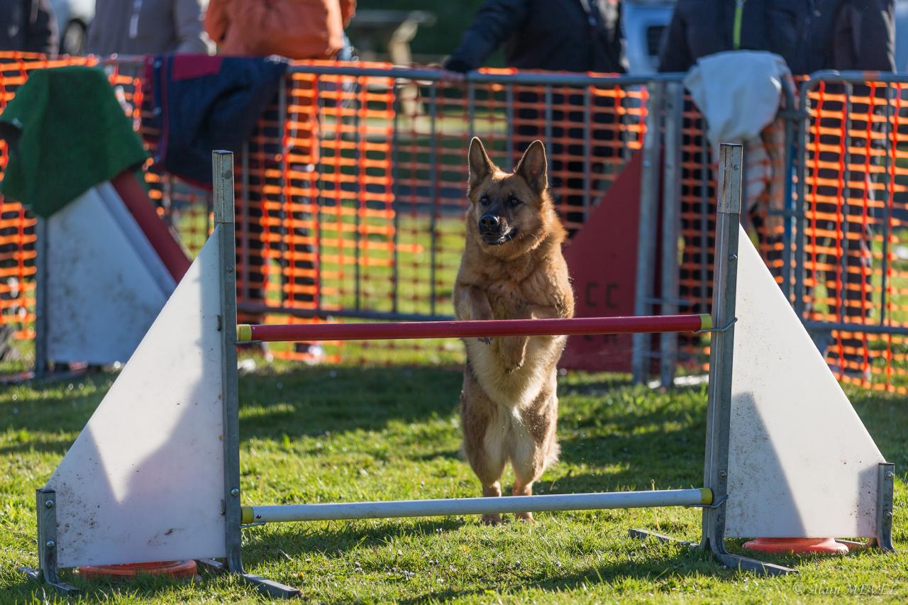 4358_20160417_Alain_MEVEL_017_2000x1333