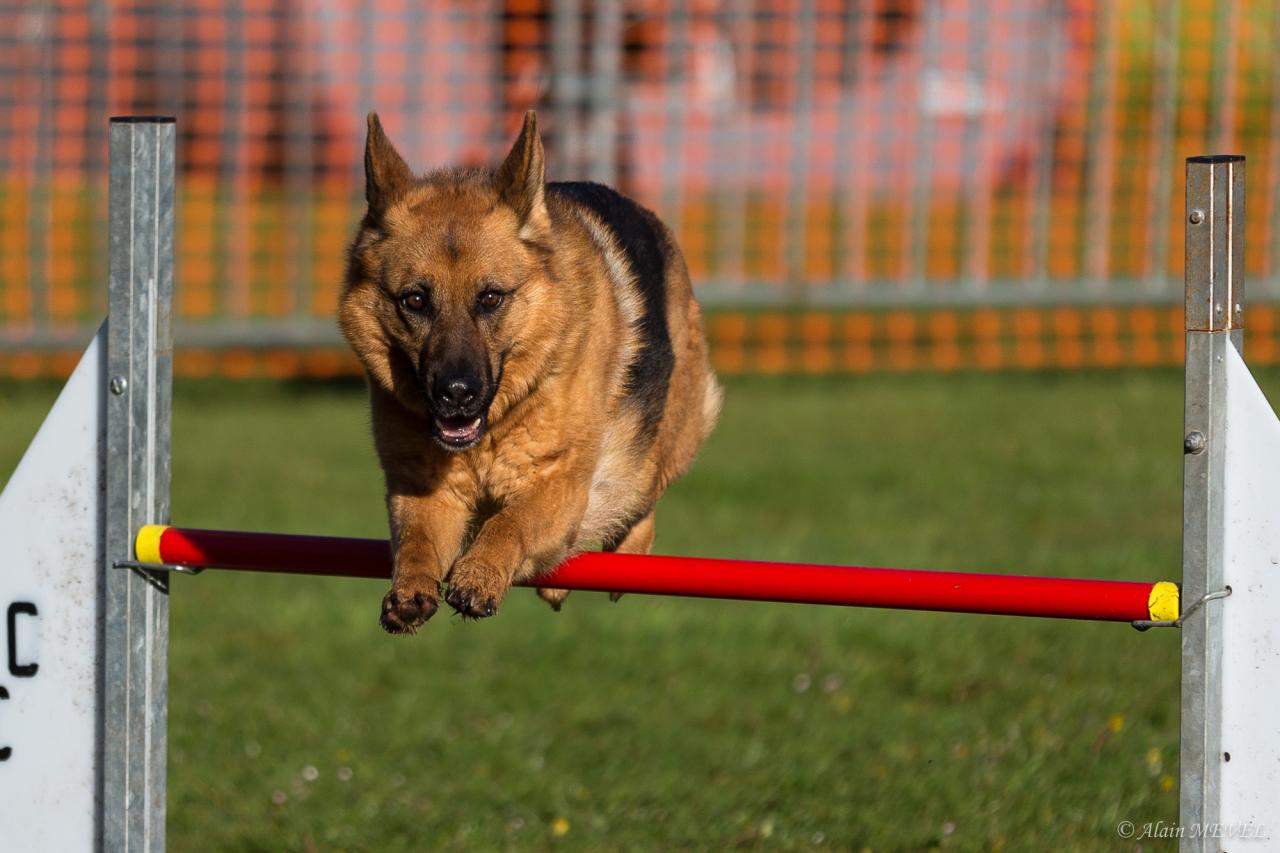 4360_20160417_Alain_MEVEL_019_2000x1333