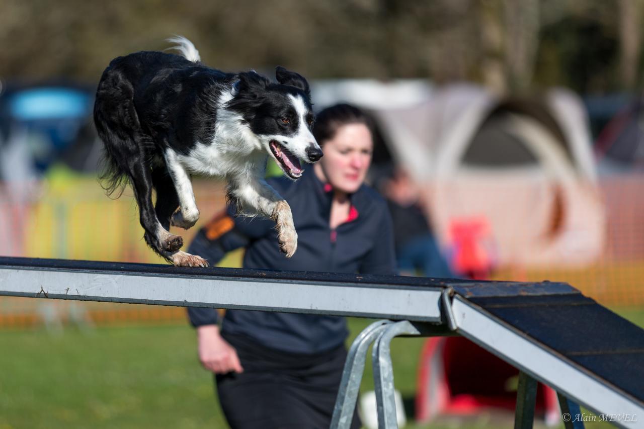 4362_20160417_Alain_MEVEL_021_2000x1333