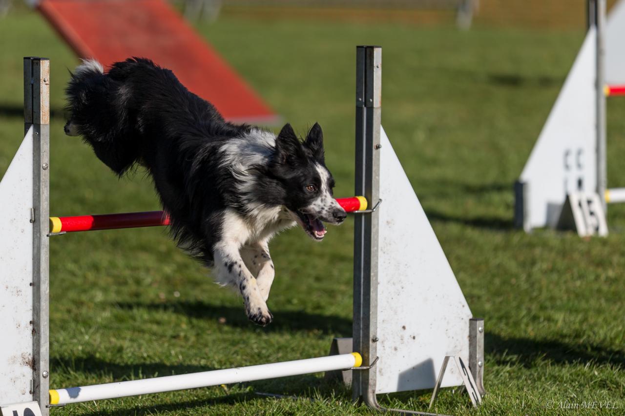 4363_20160417_Alain_MEVEL_022_2000x1333