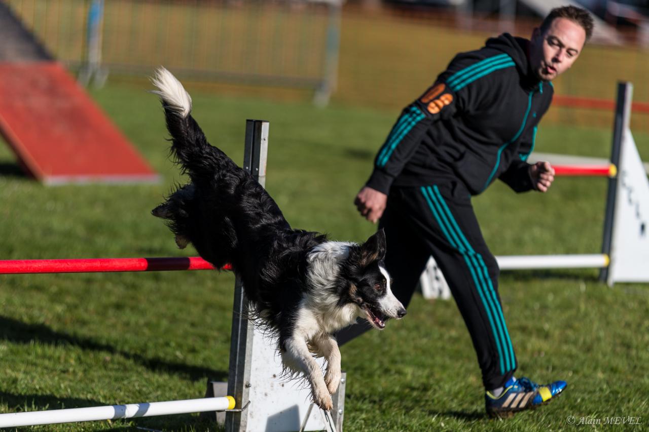 4364_20160417_Alain_MEVEL_023_2000x1333