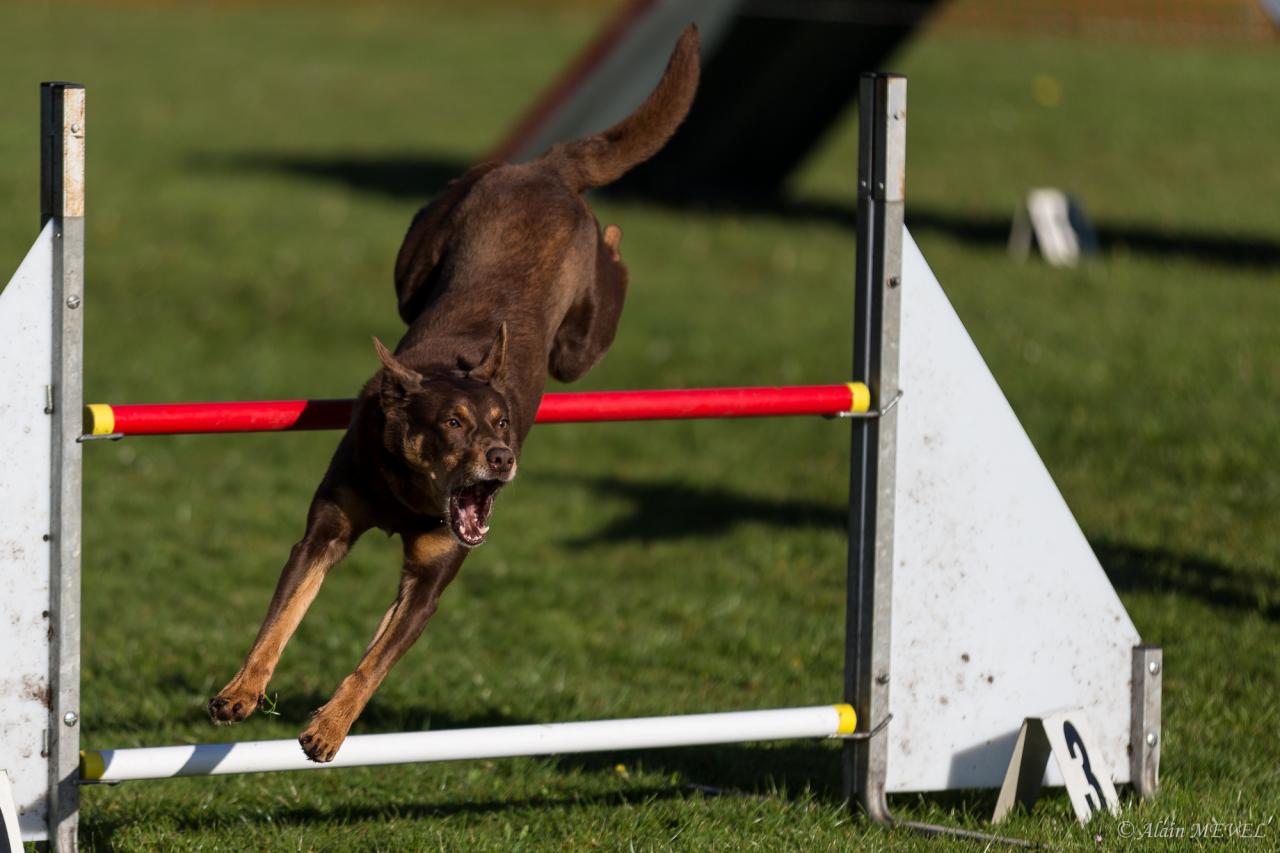 4367_20160417_Alain_MEVEL_026_2000x1333