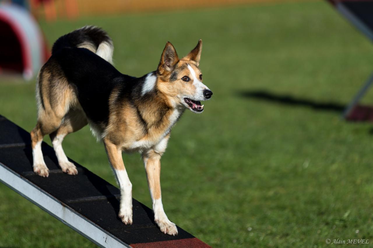 4371_20160417_Alain_MEVEL_030_2000x1333