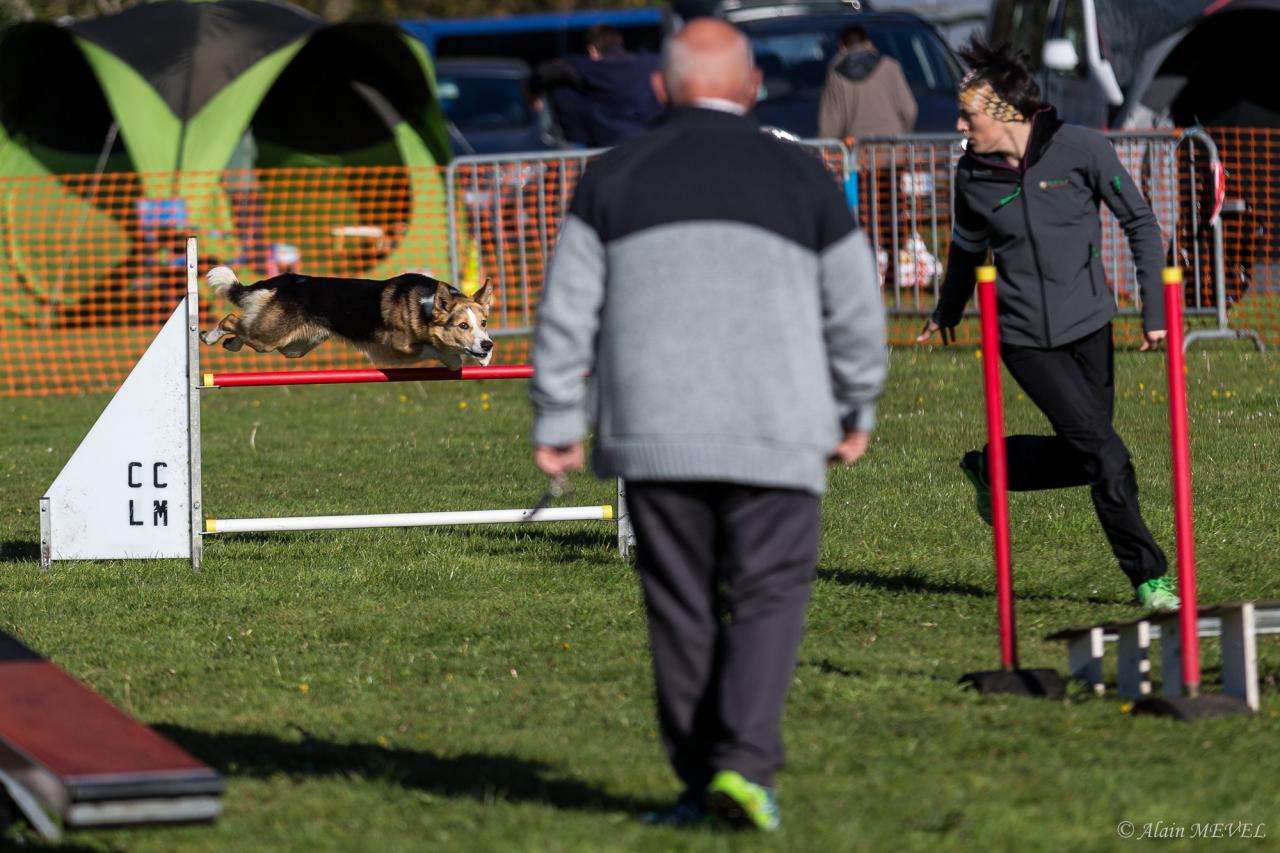 4372_20160417_Alain_MEVEL_031_2000x1333