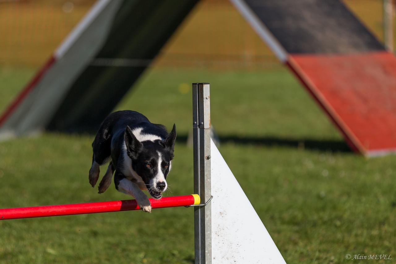 4375_20160417_Alain_MEVEL_034_2000x1333