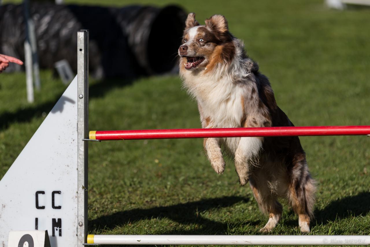 4378_20160417_Alain_MEVEL_037_2000x1333