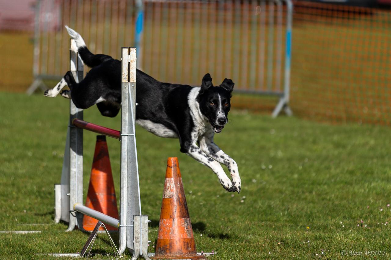 4384_20160417_Alain_MEVEL_043_2000x1333