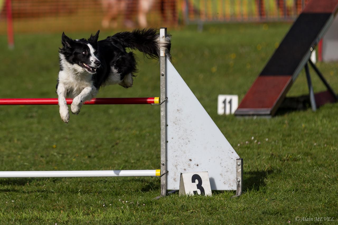 4385_20160417_Alain_MEVEL_044_2000x1333