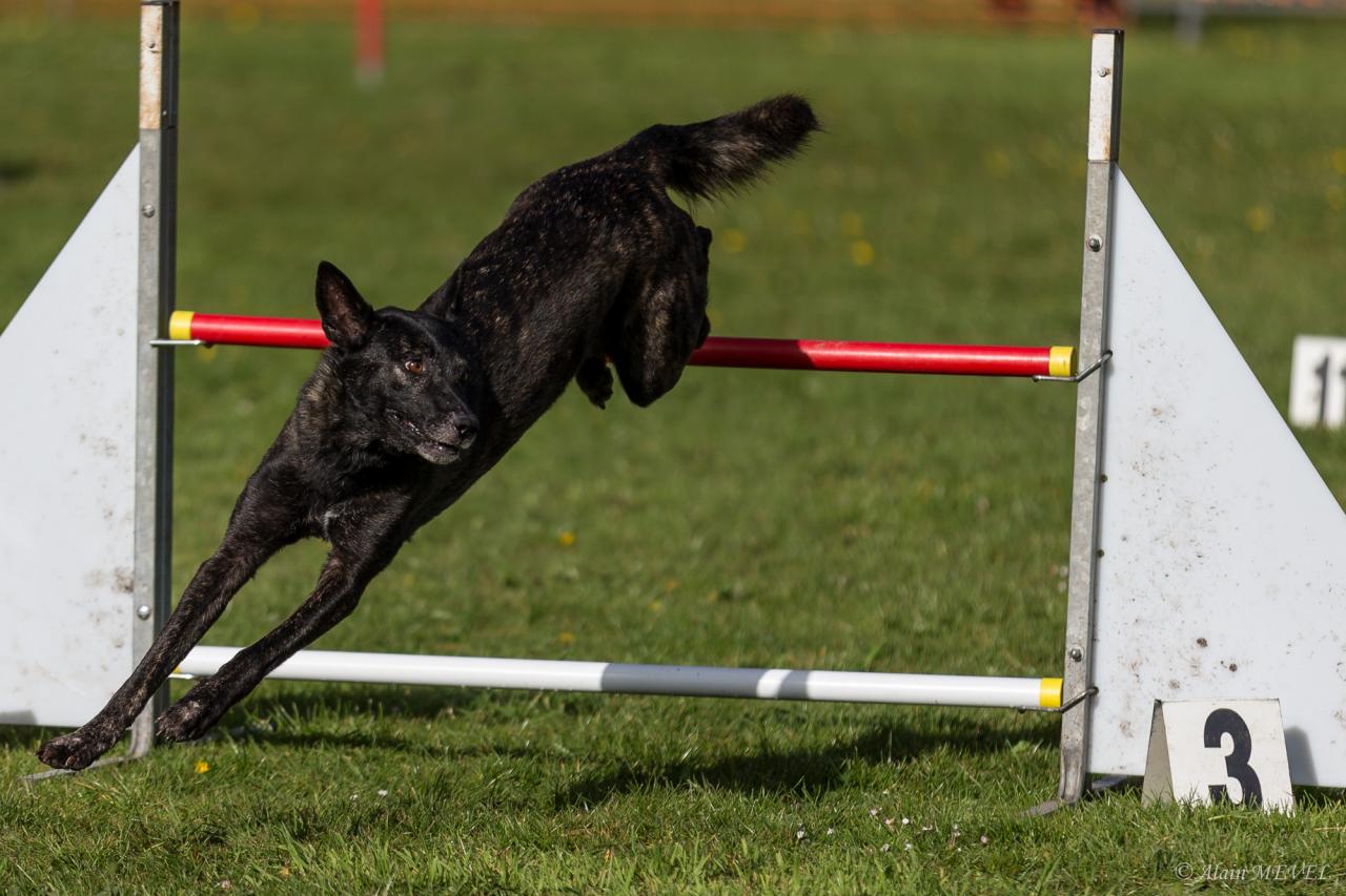 4388_20160417_Alain_MEVEL_047_2000x1333