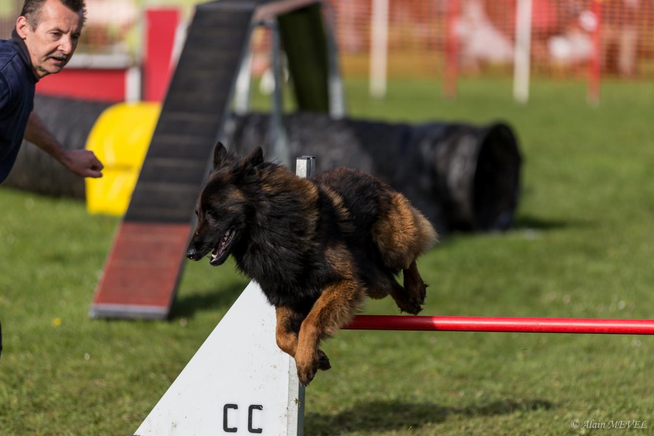 4389_20160417_Alain_MEVEL_048_2000x1333