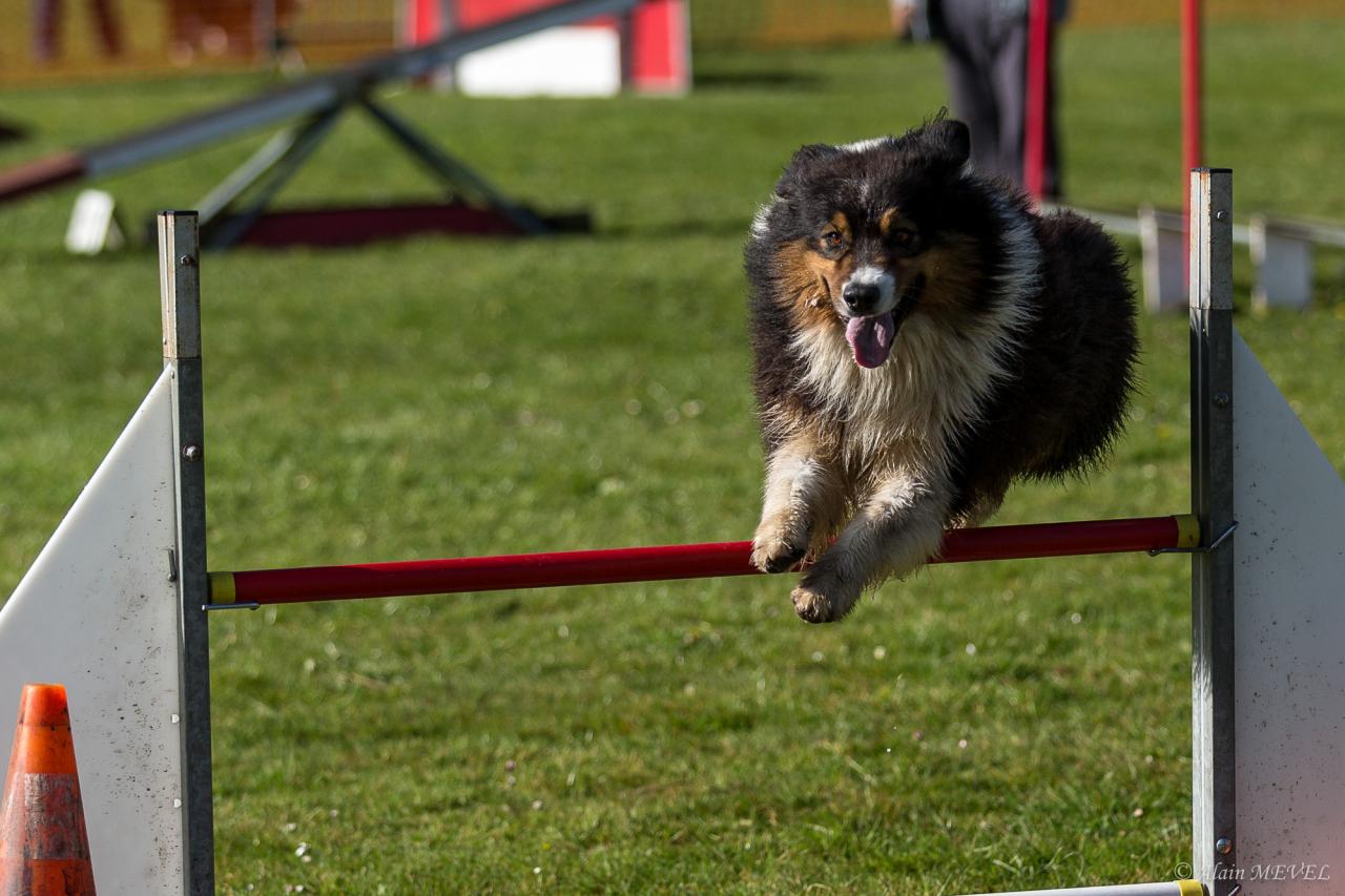 4391_20160417_Alain_MEVEL_050_2000x1333