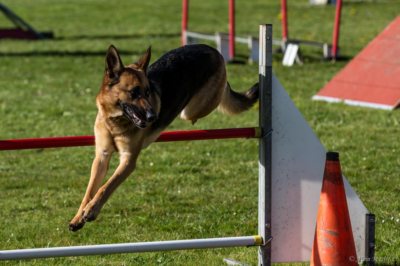 4392_20160417_Alain_MEVEL_051_2000x1333