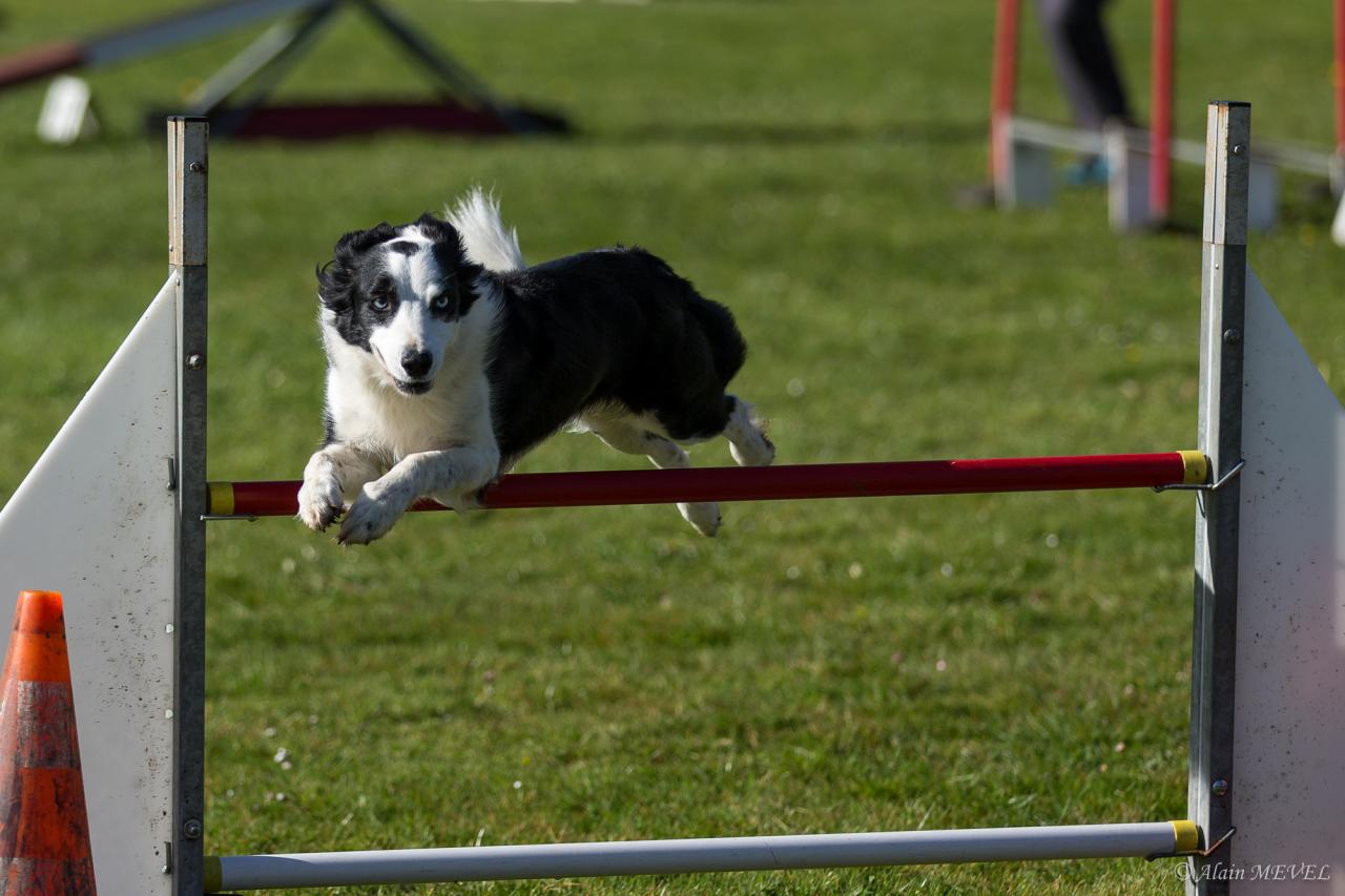 4393_20160417_Alain_MEVEL_052_2000x1333