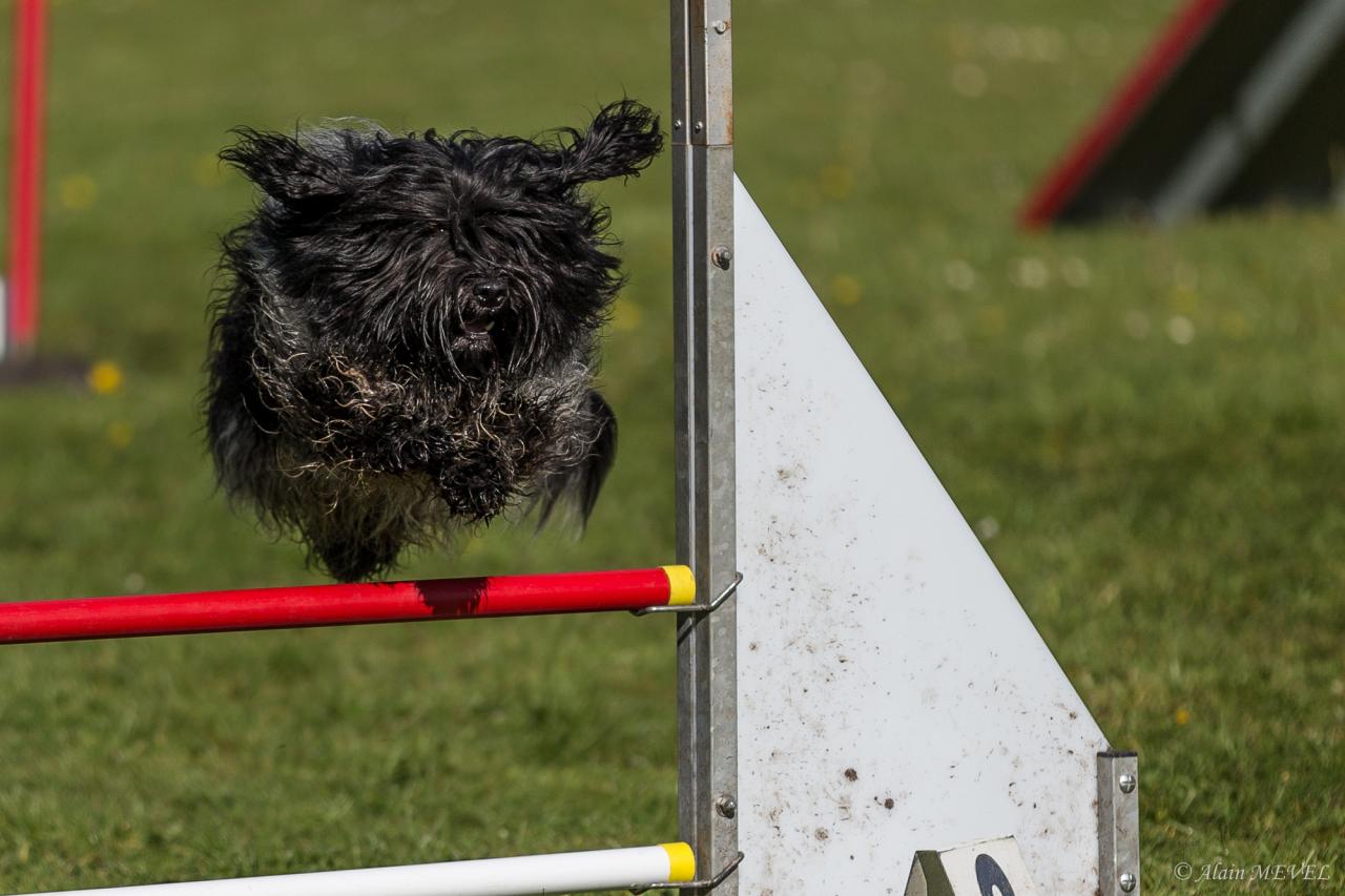 4394_20160417_Alain_MEVEL_053_2000x1333