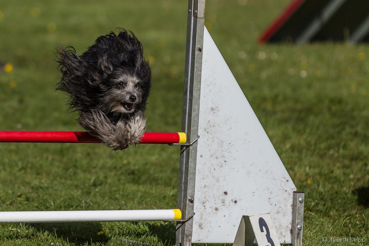 4395_20160417_Alain_MEVEL_054_2000x1333