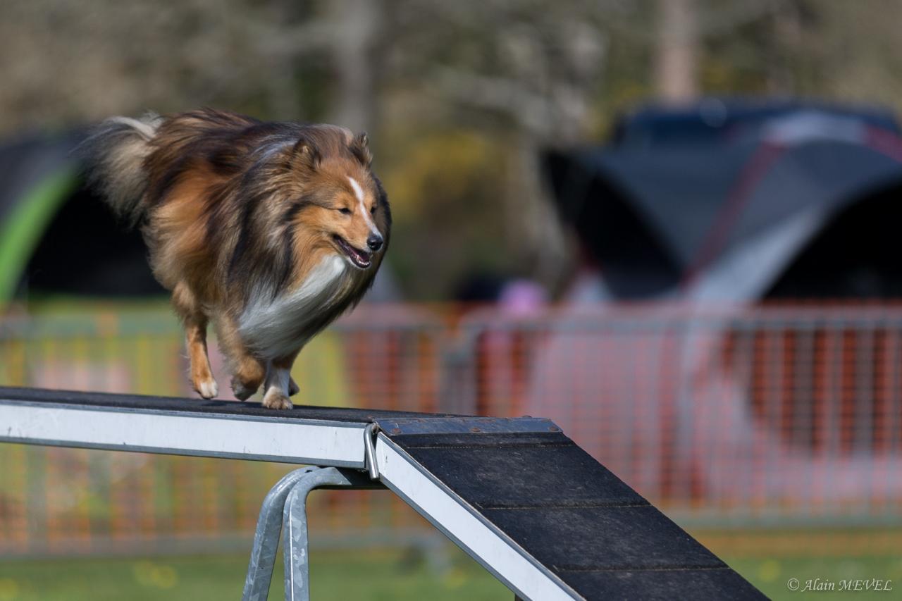 4396_20160417_Alain_MEVEL_055_2000x1333