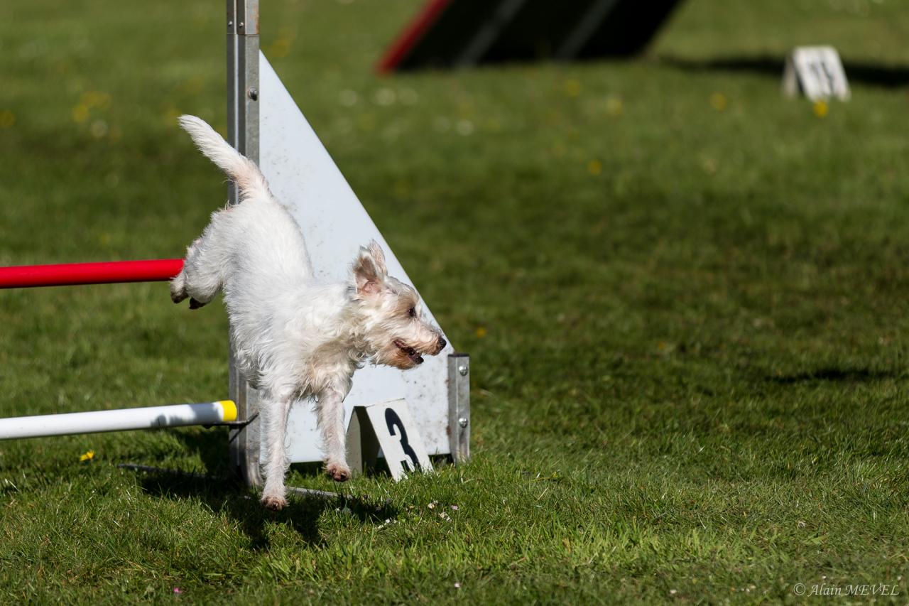 4399_20160417_Alain_MEVEL_058_2000x1333