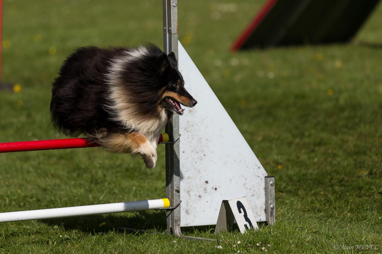 4400_20160417_Alain_MEVEL_059_2000x1333