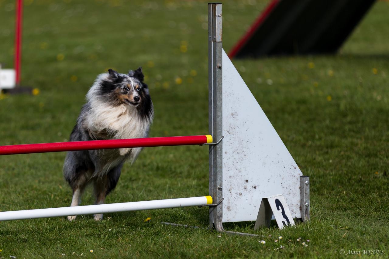 4401_20160417_Alain_MEVEL_060_2000x1333