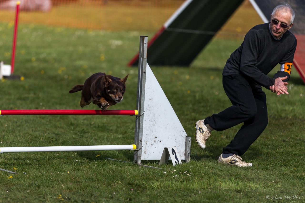 4403_20160417_Alain_MEVEL_062_2000x1333