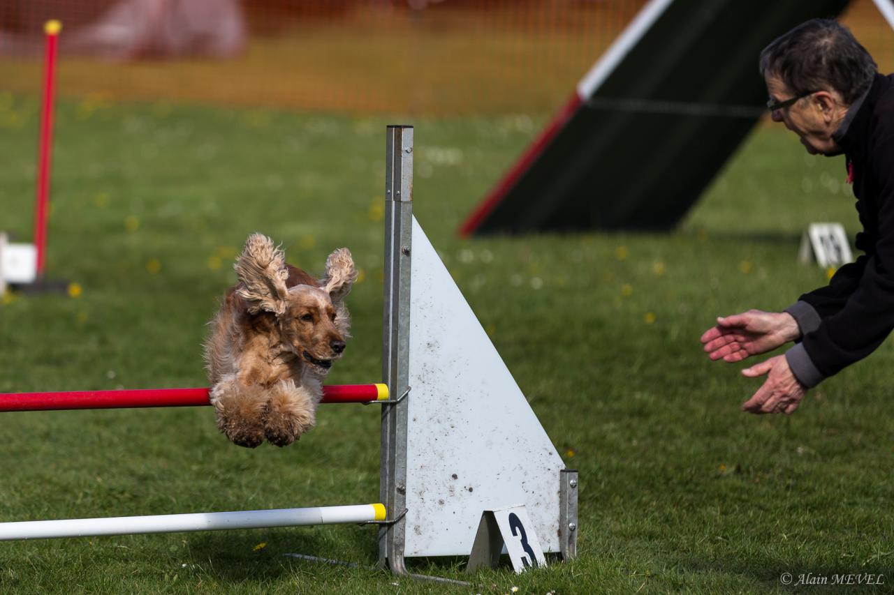 4404_20160417_Alain_MEVEL_063_2000x1333