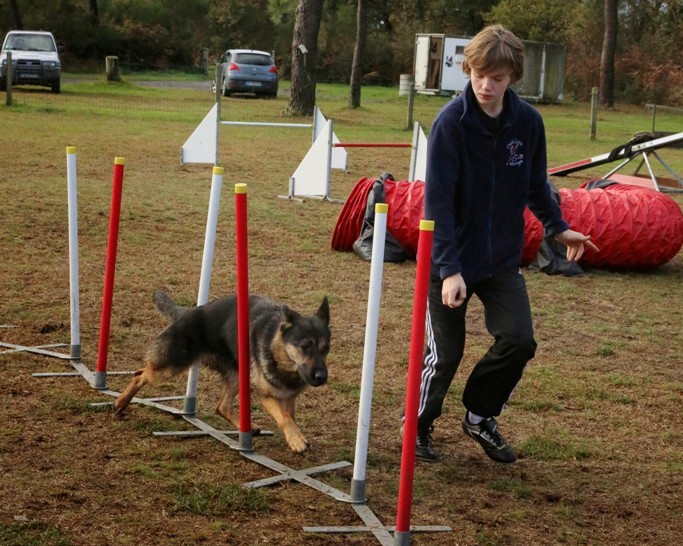 Agility débutants (13)