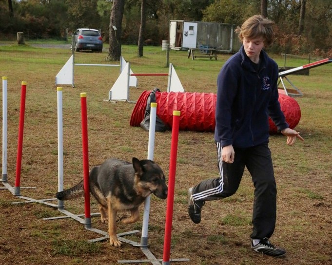 Agility débutants (14)