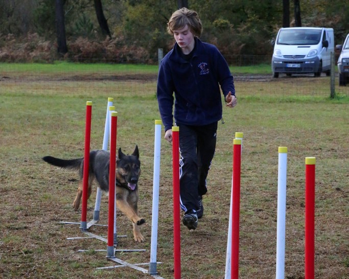 Agility débutants (15)
