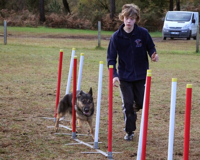 Agility débutants (16)