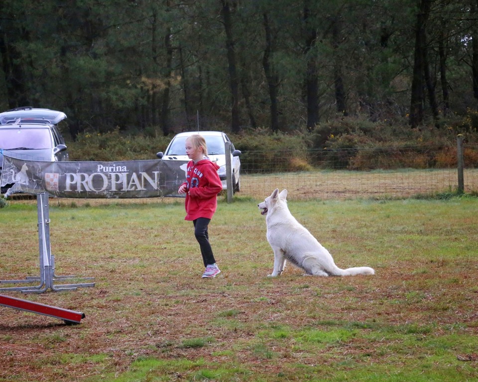 Agility débutants (20)